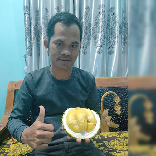 Pusat Bibit Unggul Bogor Jual Durian Musang King Kelapa Kopyor